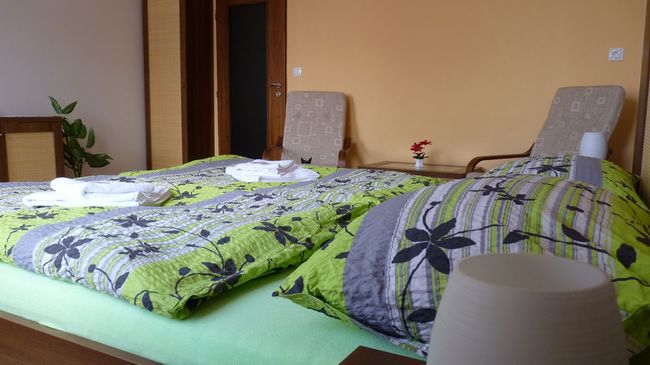 Hotel Art Písek Habitación foto